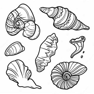 Kleurrijke Gefossiliseerde Schelpen Kleurplaat 102350-40632