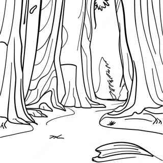 Kleurplaat Van Het Redwoodbos In Californie 102684-40881