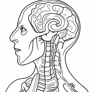 Anatomie En Fysiologie Kleurplaten