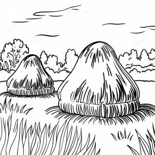 Monets Hooi Stapels Kleurplaat 108802-45668