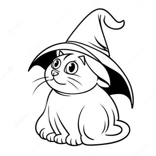 Heksenhoed Kat Kleurplaat 118654-53795