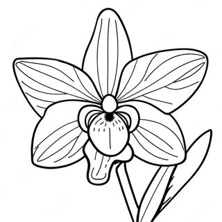 Delicate Roze Orchidee Kleurplaat 120557 55281