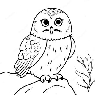 Charmante Sneeuwuil Kleurplaat 123432-57745