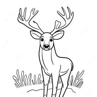 Buck Hert Met Geweien Kleurplaat 131231-64014
