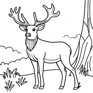 Elegante Hert Die Trots Staat Kleurplaat 18901 4131