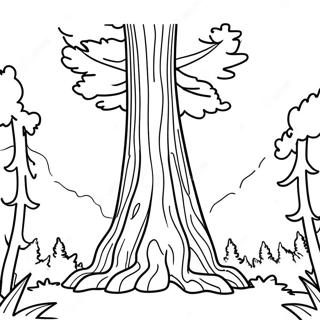 Hoge Sequoia Boom Kleurplaat 21779-4754