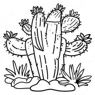 Woestijn Cactus Kleurplaat 26621-5803