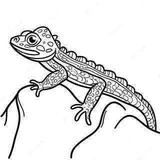 Gevlekte Hagedis Op Een Steen Kleurplaat 27196-5930