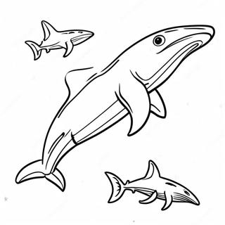 Hammerhaai Zwemmen Kleurplaat 53217-11648