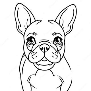 Franse Bulldog Kleurplaten