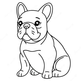 Franse Bulldog Kleurplaat 72336-16106