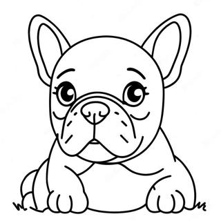 Franse Bulldog Kleurplaat 72336-16107