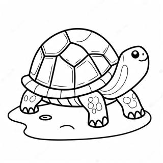 Cartoon Schildpad Op Een Strand Kleurplaat 7846-2752