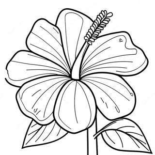 Hibiscus Kleurplaten