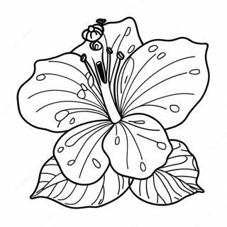 Hibiscus Kleurplaten