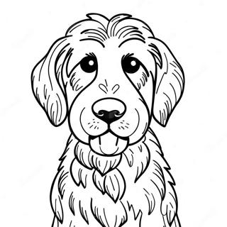 Goldendoodle Kleurplaten