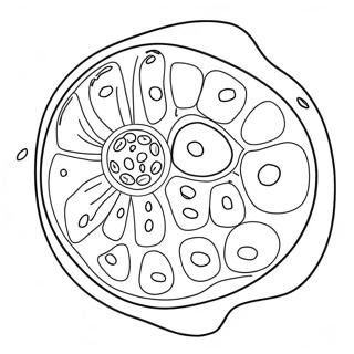 Planten Cel Kleurplaten