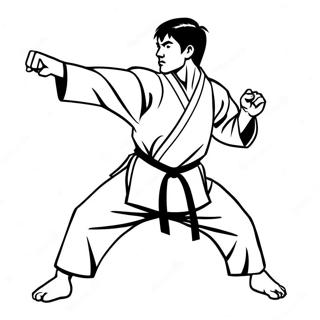 Dynamische Karate Houding Kleurplaat 99987-38674